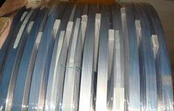 Stainless Steel Strip